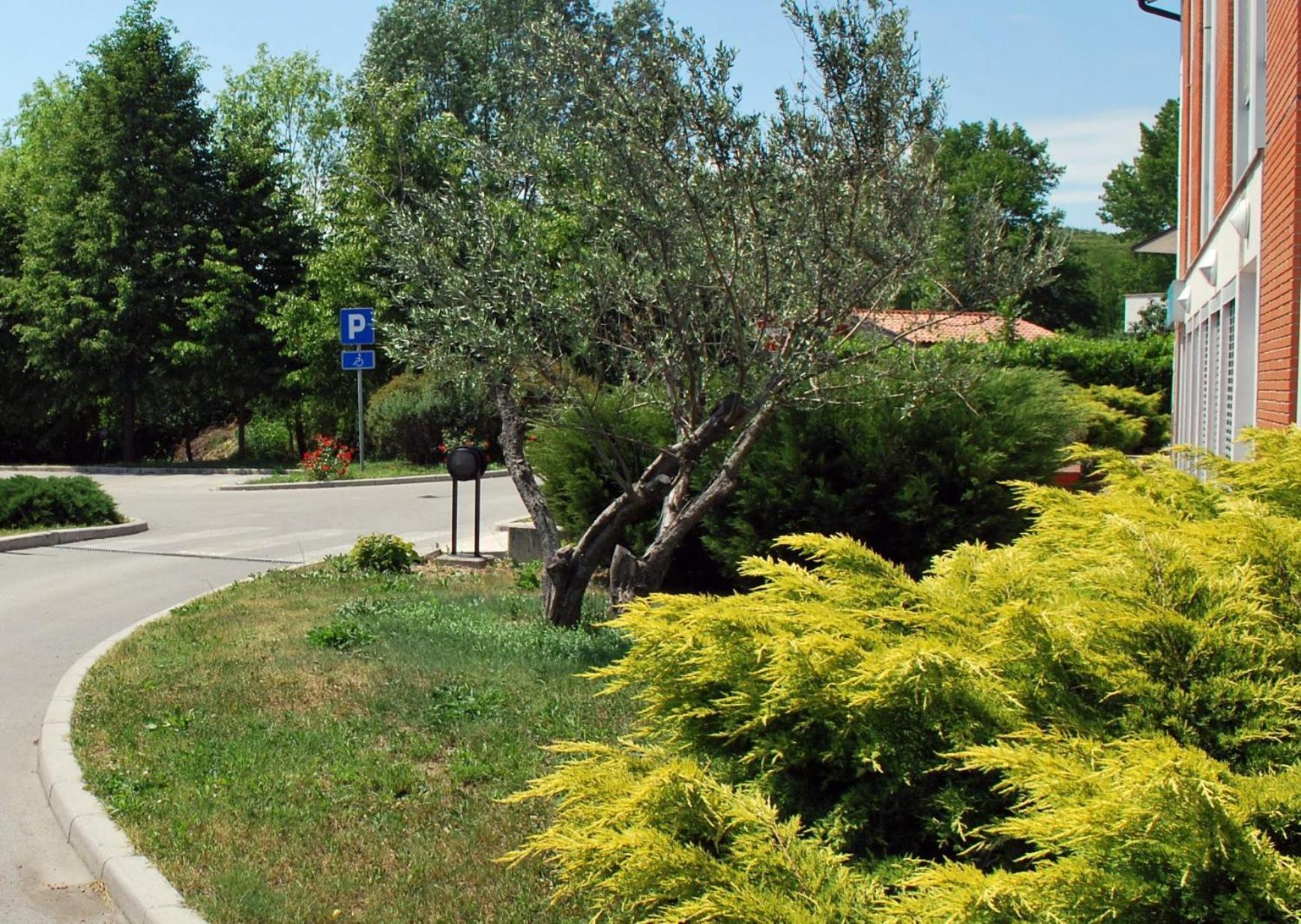 Bed & Breakfast Kogoj 3*